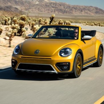 2016 beetle dune