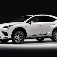 2019 lexus nx blackline