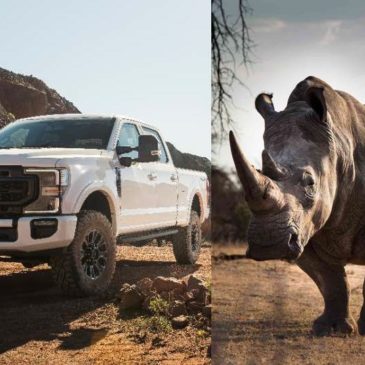 2020 Ford Super Duty F-250 Rhino