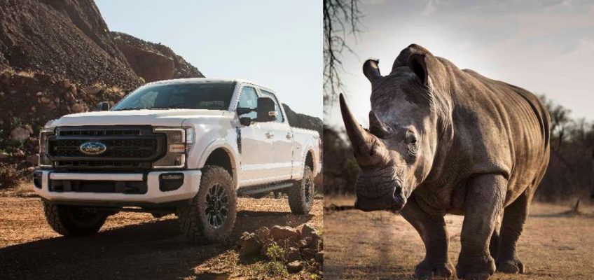 2020 Ford Super Duty F-250 Rhino