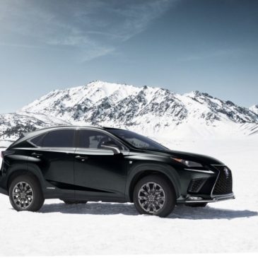 2021 Lexus NX 300h F Sport AWD Black Line Special Edition