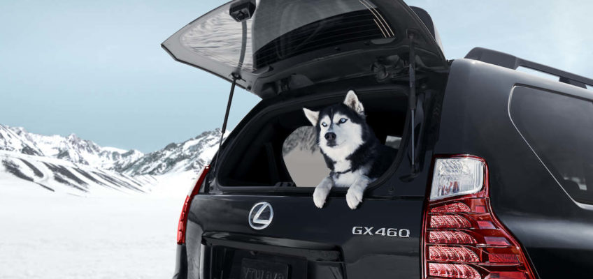 2022 Lexus GX