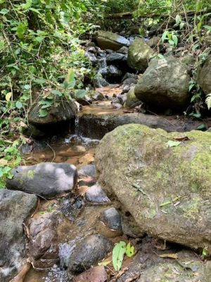 Hike to the Catarata Bijagual