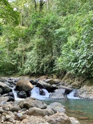 Hike to the Catarata Bijagual