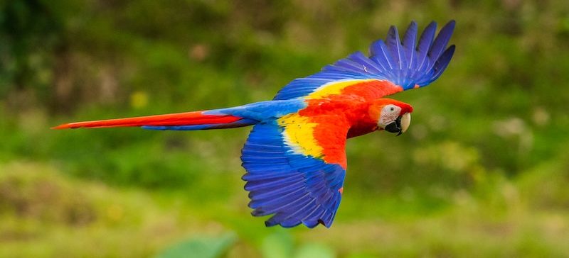 Interesting facts about Costa Rica