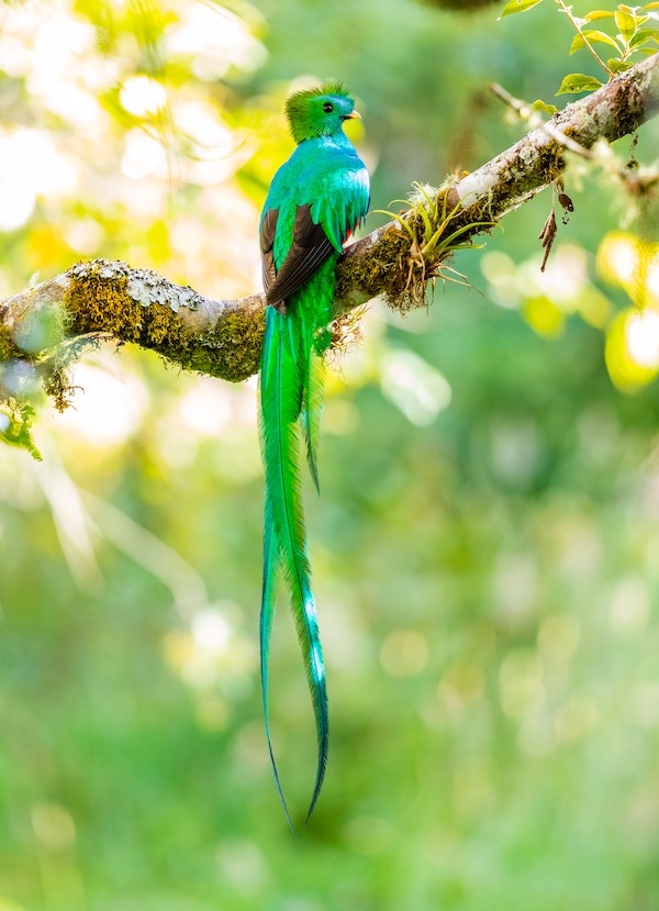 Costa Rica landmarks