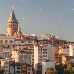 Turkey canceled PCR tes